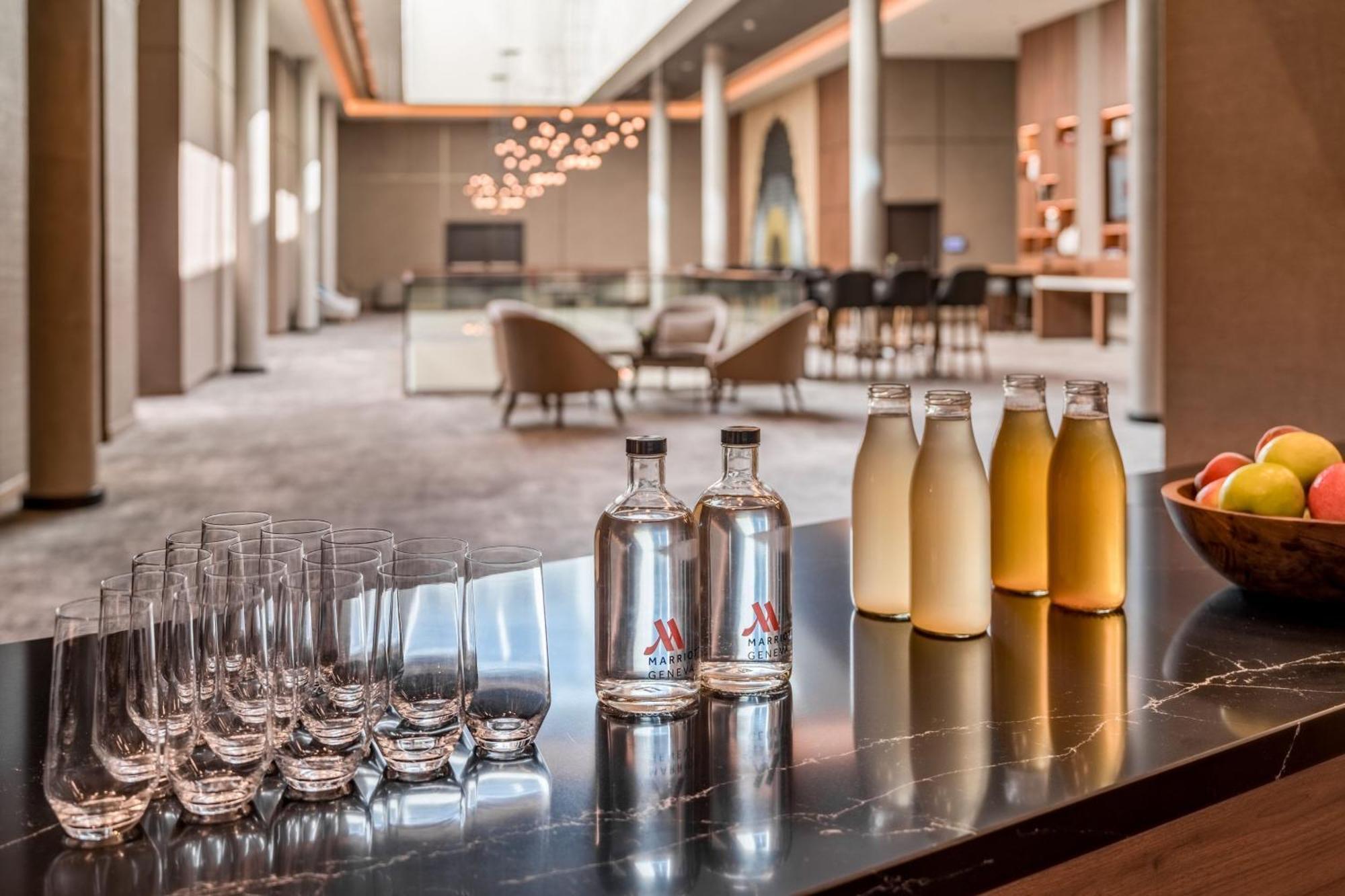 Geneva Marriott Hotel メイラン エクステリア 写真